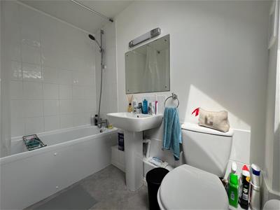 Picture 5